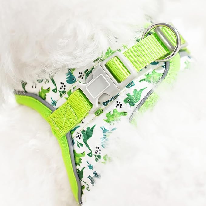 Step in Dog Harness and Leash Set, Flower Adjustable Easy Walk Puppy Harnesses, Soft Mesh Pet Vest Harness Small Size Dog Adjustable No Pull Dog Harness for Small Dogs and Cats(Dinosaur1, XXS)