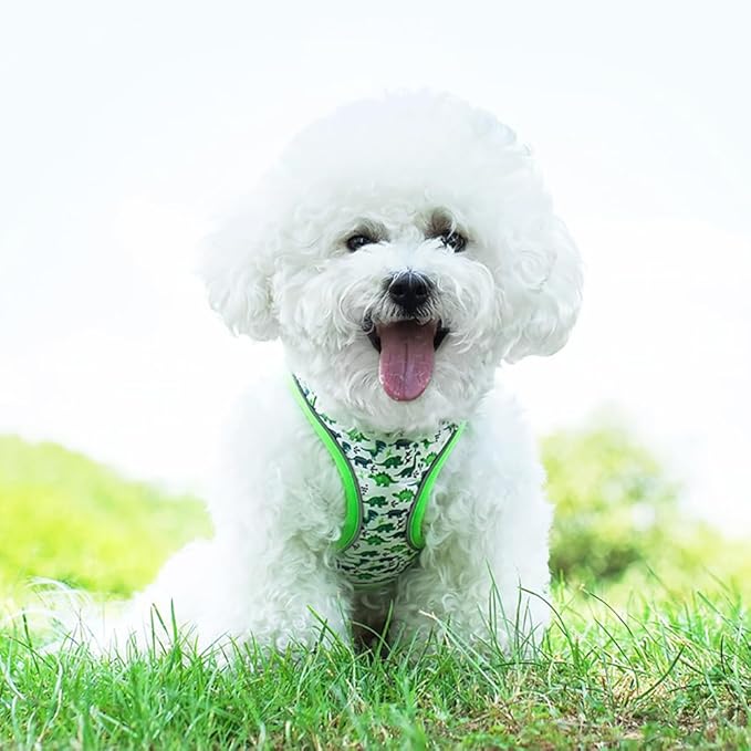 Step in Dog Harness and Leash Set, Flower Adjustable Easy Walk Puppy Harnesses, Soft Mesh Pet Vest Harness Small Size Dog Adjustable No Pull Dog Harness for Small Dogs and Cats(Dinosaur1, XS)