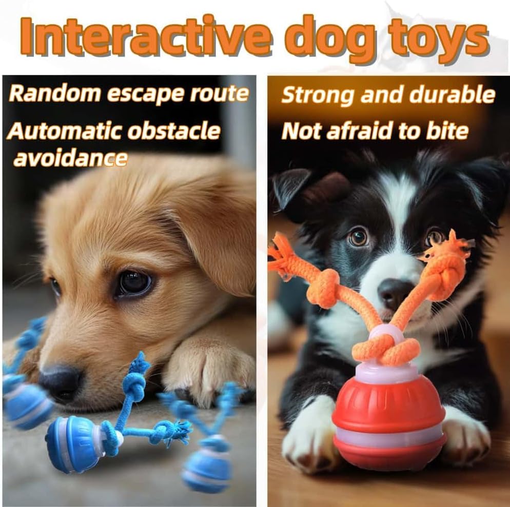 Interactive Dog Toys, Squeaky Dog Toys, Active Rolling Ball for Puppy and Medium Dogs, Squeaky, USB Rechargeable (Orange)