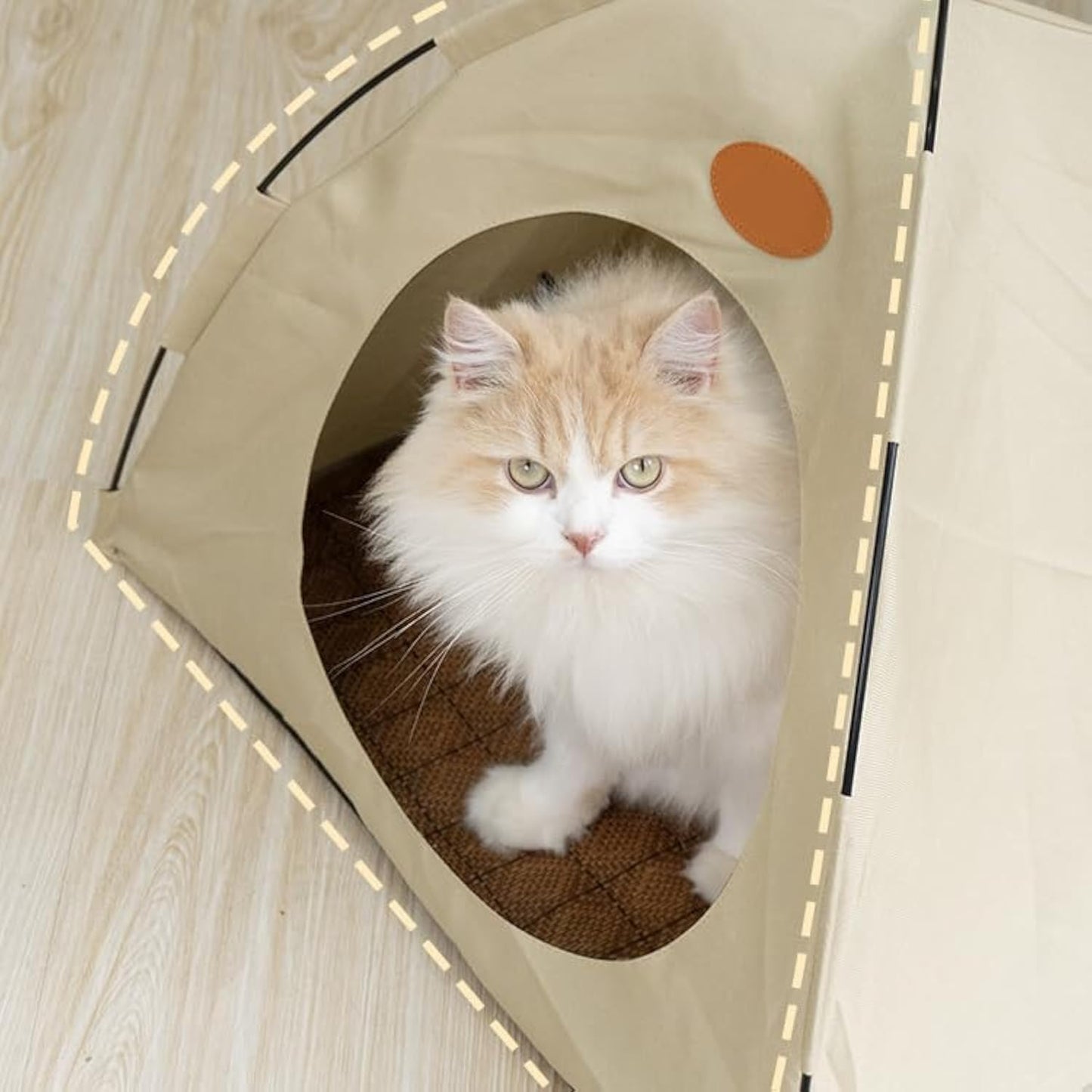 BreezyDen Pop-Up Pet Tent – Portable Indoor/Outdoor Cat Tent, Waterproof Pet Hideaway for Cats & Small Dogs with Mesh Window, Anti-Slip Base & Washable Design (Dark Gray, M (8 catties Kitten))
