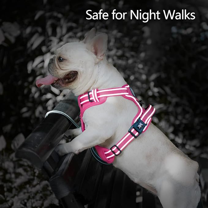 PoyPet No Pull Dog Harness, Reflective Vest with 2 Leash Clips & Handle | Lockable Neck Release Buckle, No Choke, Adjustable, Soft Padded, for Walking Training, Pink Matching Trim, Large