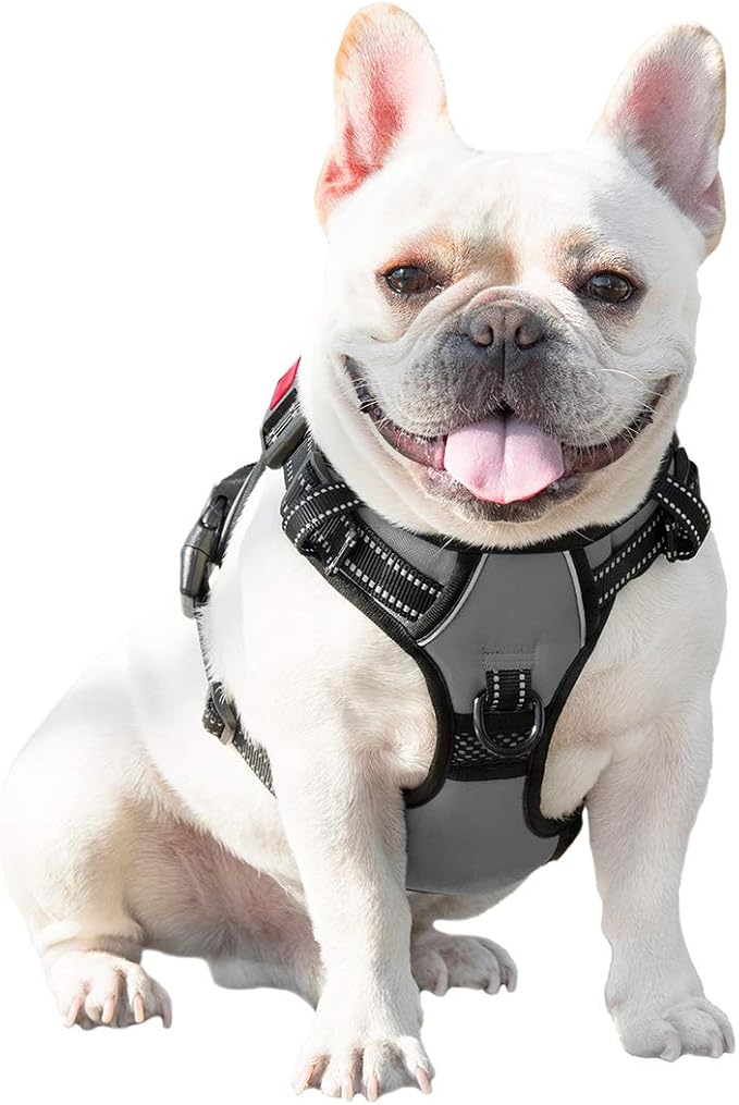 No Pull Dog Harness Medium Reflective Front Clip Vest with Handle | Adjustable 2 Metal Rings 3 Buckles,[Easy to Put on & Take Off](M, Grey)