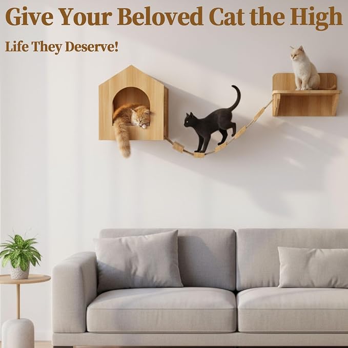 Unfinished Solid Pine Cat Wall Set - Natural Wood Cat House, Bridge & Perch Shelf | 3-Piece Wall-Mounted Climbing & Lounging Furniture for Indoor Cats