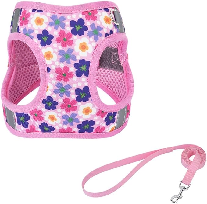 Step in Dog Harness and Leash Set, Flower Adjustable Easy Walk Puppy Harnesses, Soft Mesh No Pull Pet Vest Harness for Small Dogs and Cats(Flower, XS)