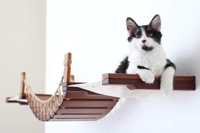CatastrophiCreations Cat Bridge Wall-Mounted Play and Lounge Toy Cat Tree with Fabric Lounger for Pets