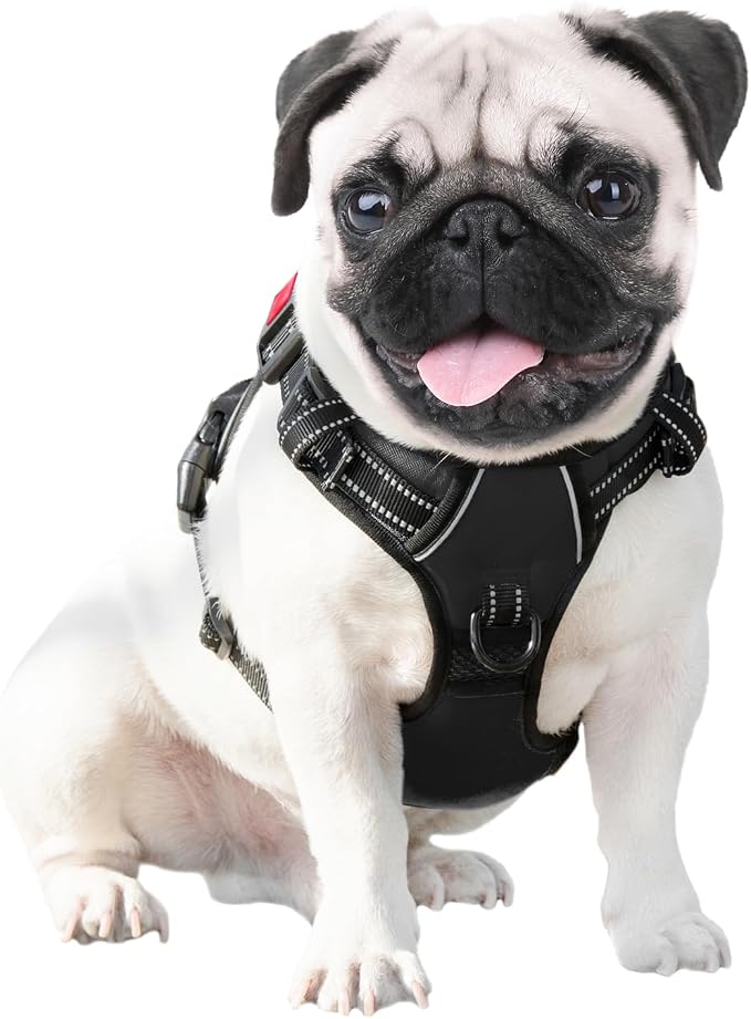 No Pull Dog Harnesses for Small Dogs Reflective Adjustable | Front Clip Vest with Handle 2 Metal Rings 3 Buckles [Easy to Put on & Take off] (S, Black)