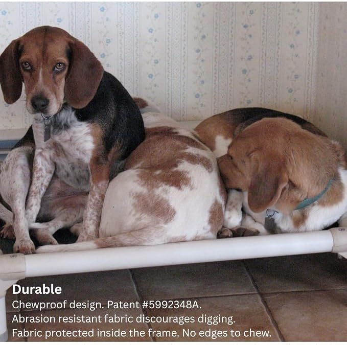 Kuranda Chewproof Elevated Dog Bed – 44" x 27" - Sunsure Textilene - Birch