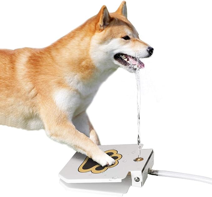Outdoor Dog Water Fountain, Paw Activated Pet Drinking Fountain, Dispenser | Durable Step On Metal Sprinkler, Brass Valve, Sturdy 41" Hose, Easy to Use, Provides Fresh Water Constant Stream, Fun Dog Toy