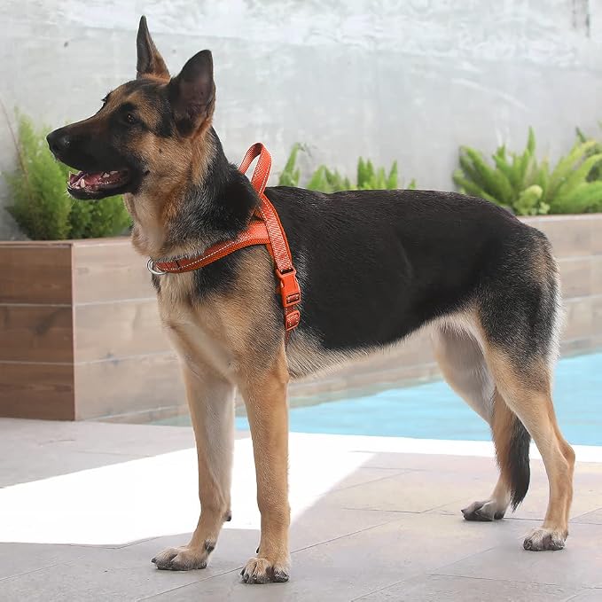 Plutus Pet No Pull Dog Harness for Large Dogs, Breathable Mesh Padded | Adjustable Reflective with Handle, Escape Proof, Quick Fit Pet Vest, Front Clip, for Training and Walking, Orange, XL