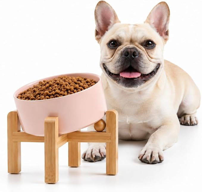 Petygooing Khaki Raised/Elevated 15°Slanted Ceramic Dog Bowl for Small Breeds,Tilted Anti Slip Pet Feeding Bowl,Food Water Dish with Stand for Cats and Small Dogs Puppy 13.5 OZ (5.1In / 1.7 Cups)
