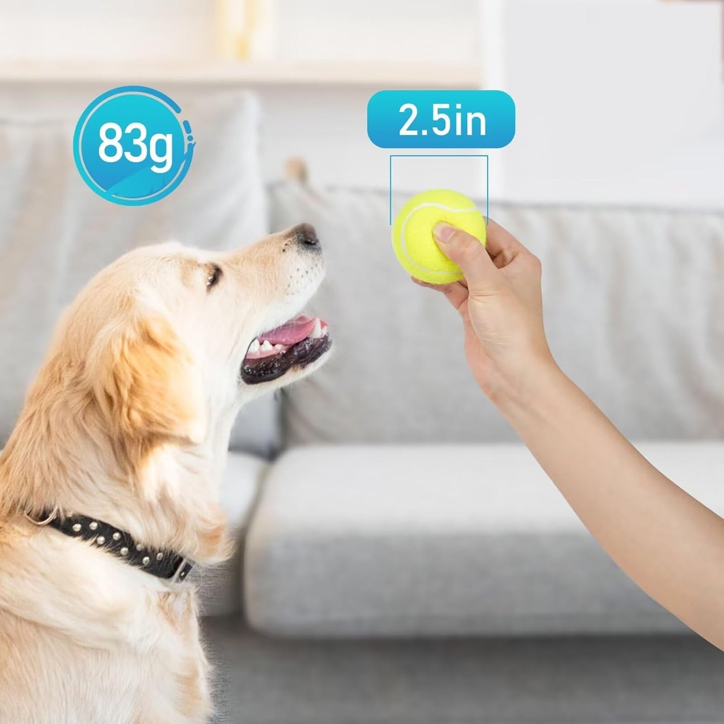 Prime Pets Tennis Balls for Dogs, 2.5 Inch Squeaky Dog Balls for Play & Fetch, Squeaky Tennis Balls for Medium, Large Dogs, Dog Toy Balls