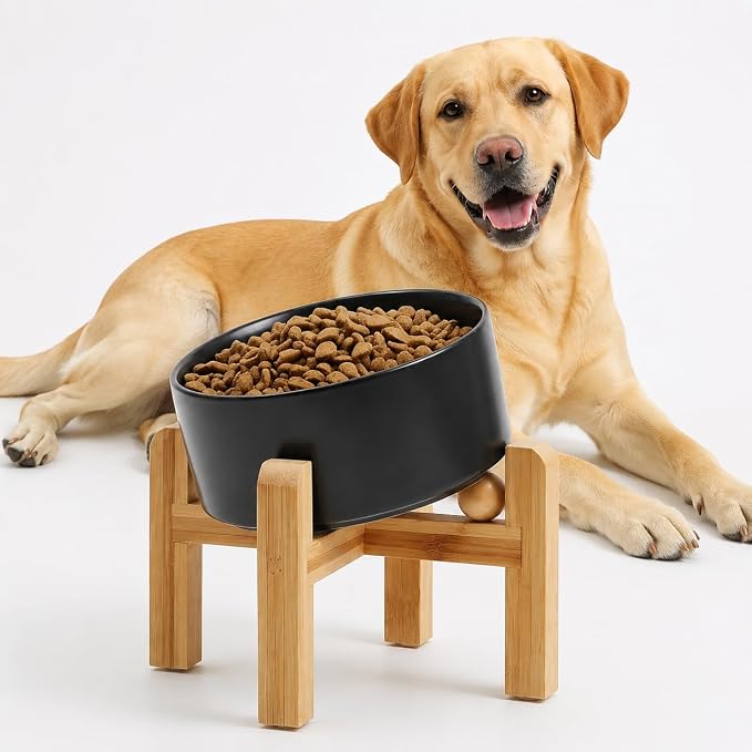 Petygooing Black Elevated/Raised 15° Slanted Ceramic Dog Bowl for Large and Medium Breeds, Pet Anti Slip Feeding Bowl,Food Water Dish with Stand for Large and Medium Dogs (60 OZ / 7.6 Cup)