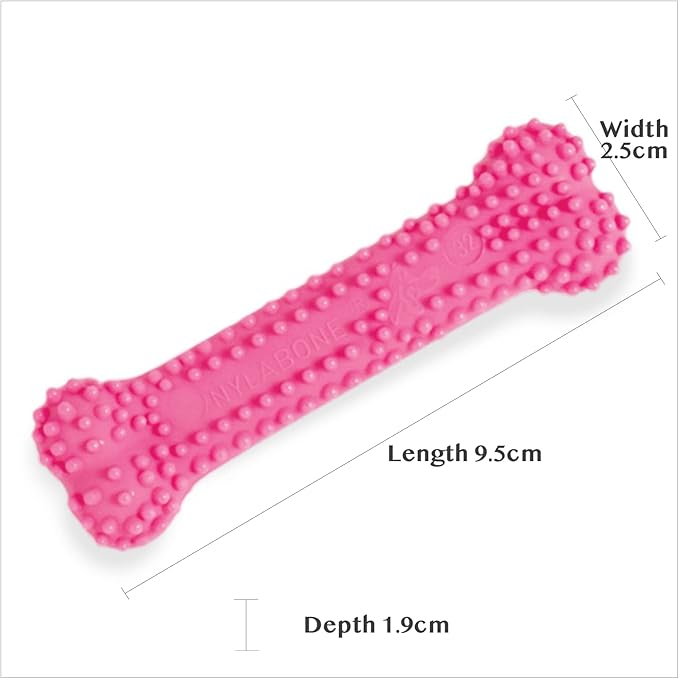 Nylabone Textured Teething Bone Puppy Chew Toy, Chicken Flavor, Pink, X-Small - Up to 15 lbs (1 Count)