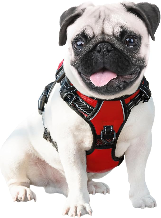 No Pull Dog Harnesses for Small Dogs Reflective Adjustable | Front Clip Vest with Handle 2 Metal Rings 3 Buckles [Easy to Put on & Take off](S, Red)