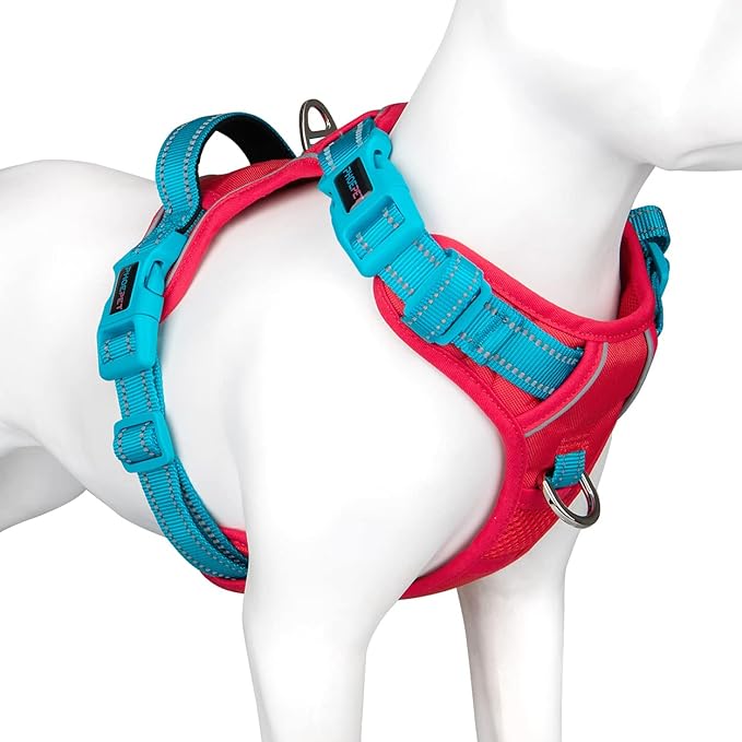 No Pull Dog Harness, Unique Colors Reflective Adjustable Dog Vest, with Soft Training Handle Metal Clips for Small Medium Large Dogs (Red Base & Teal Straps,XS)