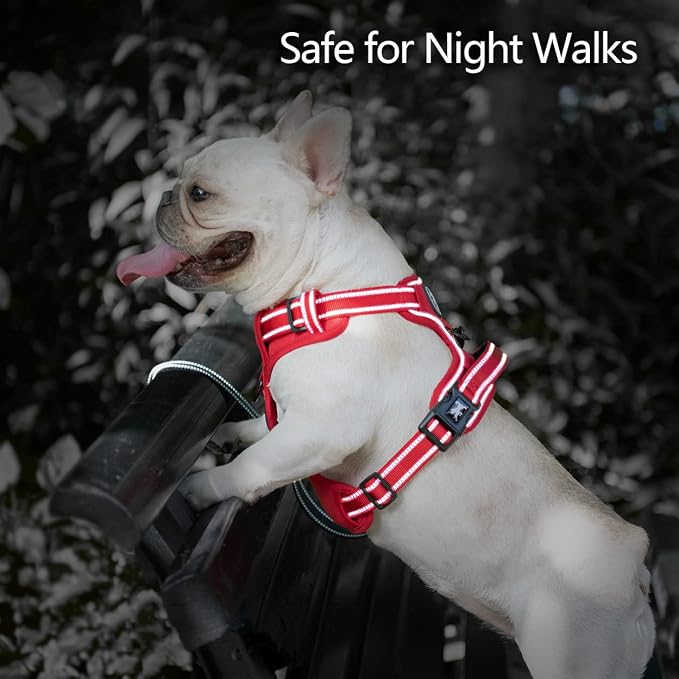 PoyPet No Pull Dog Harness, Reflective Vest with 2 Leash Clips & Handle | Lockable Neck Release Buckle, No Choke, Adjustable, Soft Padded, for Walking Training, Red Matching Trim, Small