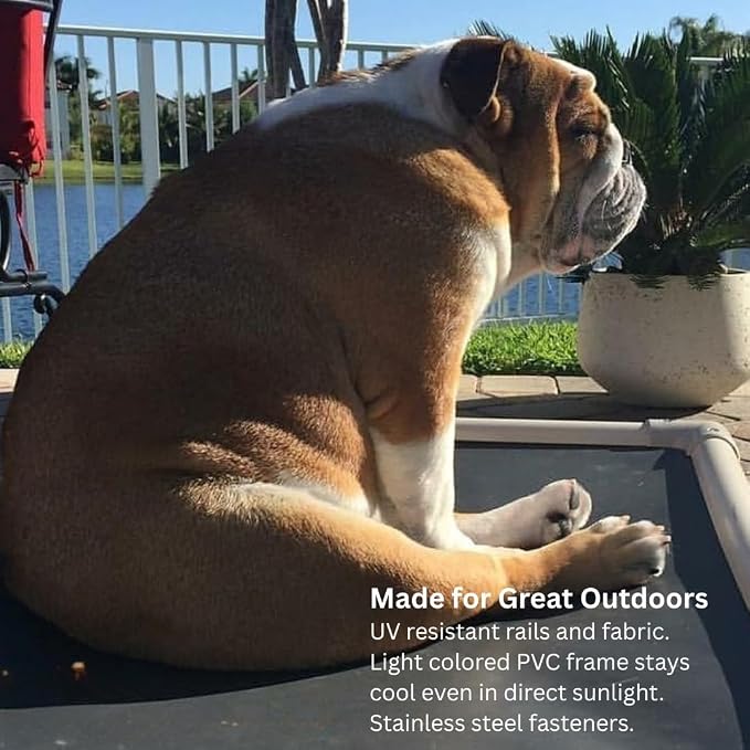 Kuranda Chewproof Elevated Dog Bed – 44" x 27" - Sunsure Textilene - Birch