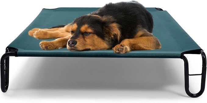 Elevated Dog Bed, 35 x 28 x 8 inches (Small, Green)
