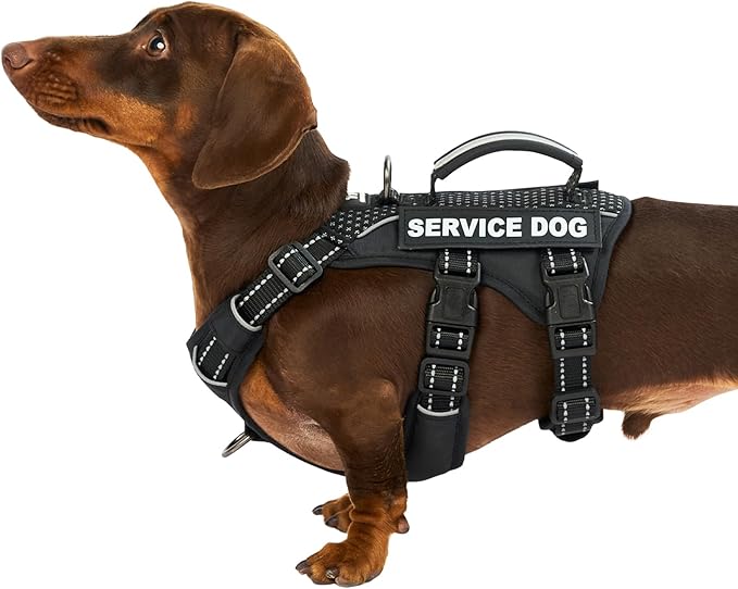 Service Dog Vest Harness, Escape Proof Harness with 6 Patches, No-Pull, Reflective Harness with Handle, Adjustable for Small to Large Dogs, for Training and Hiking (Black, XS)