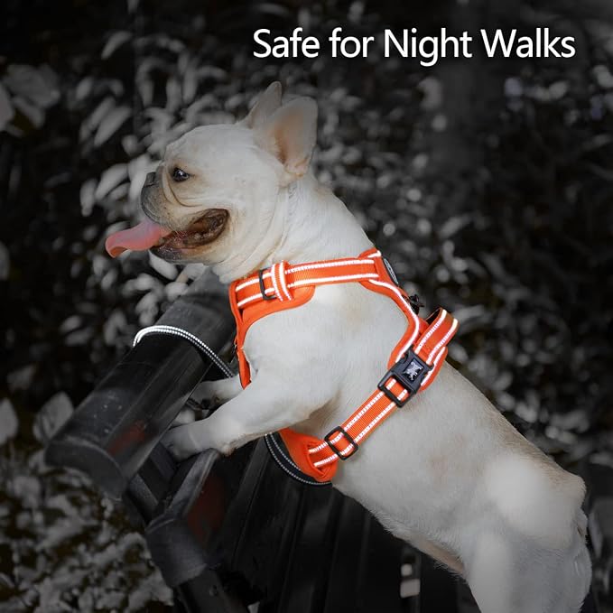 PoyPet No Pull Dog Harness, Reflective Vest with 2 Leash Clips & Handle | Lockable Neck Release Buckle, No Choke, Adjustable, Soft Padded, for Walking Training, Orange Matching Trim, Small