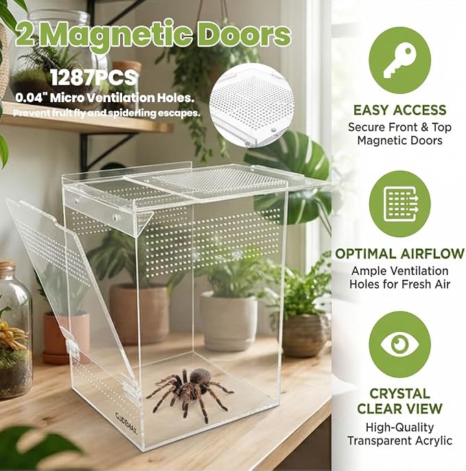 Jumping Spider Enclosure, Acrylic Tarantula Enclosure, 6x6x9 Inch Insect Terrarium with 2 Magnetic Doors, Pre-Assembled Reptile Habitat for Gecko, Mantis, Snail, Lizard, Frog, Hermit Crab, Hatchlings