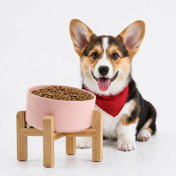 Petygooing Khaki Elevated/Raised 15°Slanted Ceramic Dog Bowl for Small and Medium Breeds, Tilted Anti Slip Pet Feeding Bowl,Food Water Dish with Stand for Cats and Dogs (28 OZ/3.6 Cups)