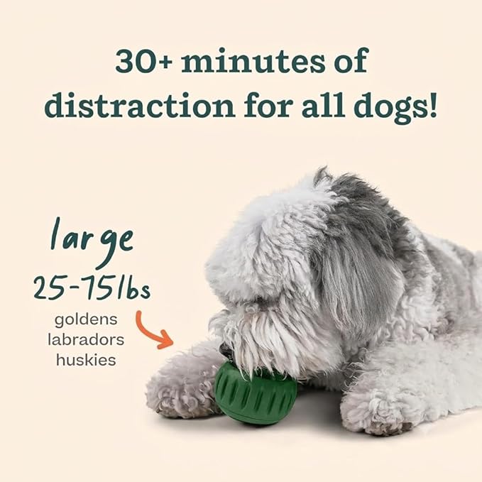 WOOF Starter Pack Dog Treat Toy for Large Dogs 25-75 lbs | Long-lasting enrichment kit, Pupsicle toy included, reusable treat mold, chicken Pops, DIY frozen treats