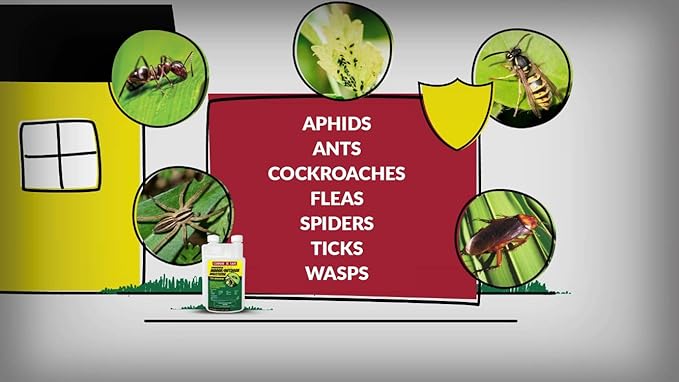 Compare-N-Save Concentrate Indoor & Outdoor Insect Control, 32 oz, Model Number: 75366