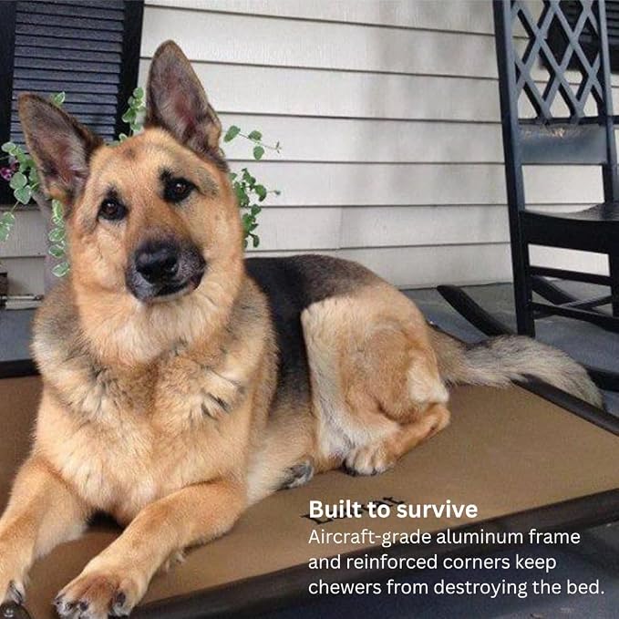 Kuranda Chewproof Elevated Dog Bed - Walnut PVC - 35" x 23" - Sunsure Textilene Outdoor Mesh - Birch
