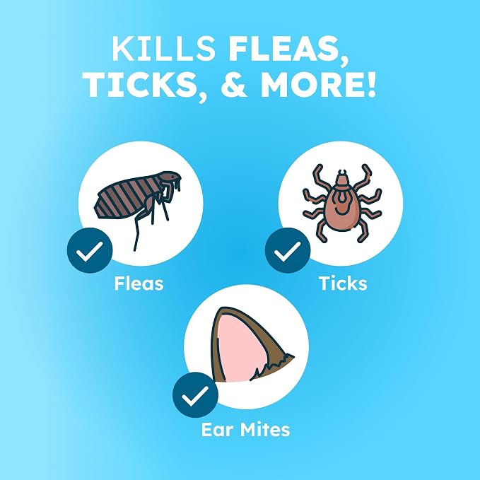BugMD Flea and Tick Spray for Dogs and Cats – Kills & Repels on Contact – Plant-Powered Flea Treatment for Home, Furniture & Carpet | Makes 32 oz