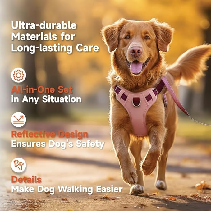 Dog Harness and Leash Set with Collar, No Pull Reflective Pet Vest Harness with Control Handle for Medium Large Dogs Walking and Training