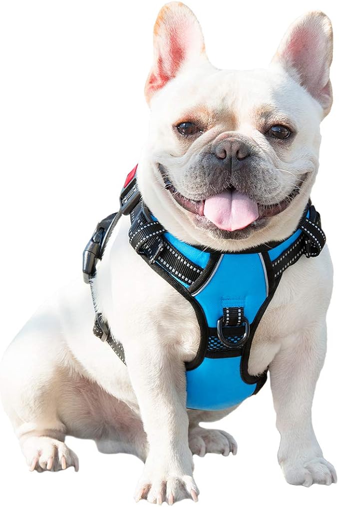 No Pull Dog Harnesses for Small Dogs Reflective Adjustable | Front Clip Vest with Handle 2 Metal Rings 3 Buckles [Easy to Put on & Take Off](XS, Blue)