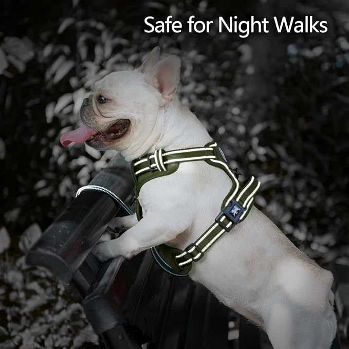 PoyPet No Pull Dog Harness, Reflective Vest with 2 Leash Clips & Handle | Lockable Neck Release Buckle, No Choke, Adjustable, Soft Padded, for Walking Training, Military Green, X-Large
