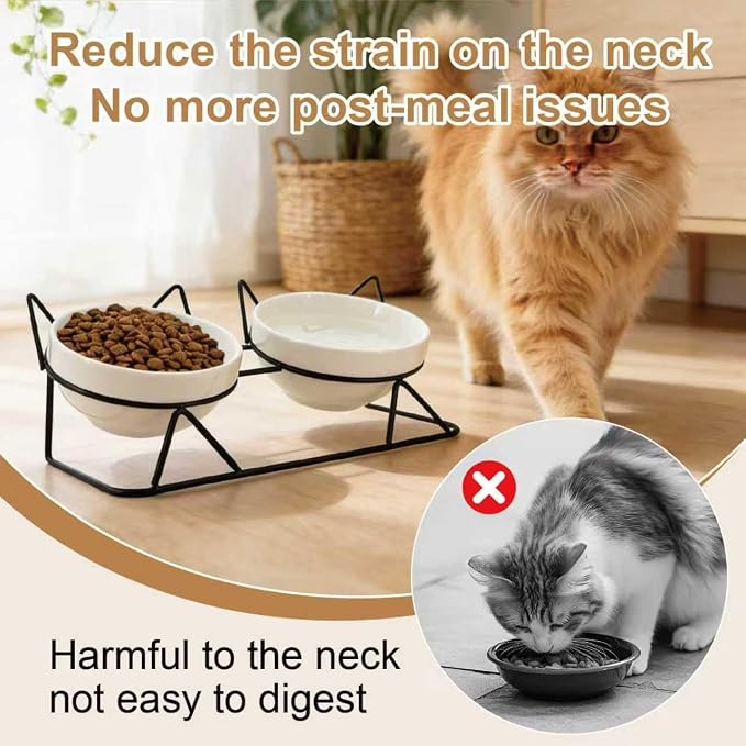 Elevated Tilted Cat Bowls for Indoor Cats，Raised Ceramic Cat Bowl Elevated 15°,Pet Feeding Bowls for Food and Water Anti Vomiting Bowl(Double Ceramics and Tilt Shelf) Suitable