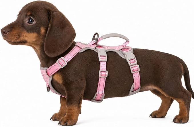 Escape Proof Dog Harness, Escape Artist Harness, Fully Reflective Vest with Padded Handle, Breathable,Durable, Adjustable Vest for Medium Dogs Walking, Training, and Running Gear (Pink, XS
