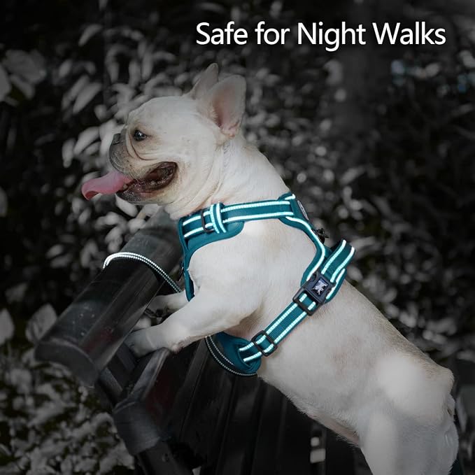 PoyPet No Pull Dog Harness, Reflective Vest with 2 Leash Clips & Handle | Lockable Neck Release Buckle, No Choke, Adjustable, Soft Padded, for Walking Training, Tumalo Teal, Medium