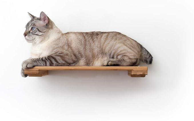 CatastrophiCreations Solid Wood Cat Shelf Handcrafted Wall-Mounted Cat Furniture, English Chestnut, 18"