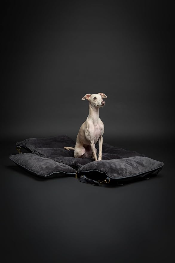 NOAH & PAW Small Dog Car Seat for Small Medium Pets with Harness Clip, 4X Safety Feature, Washable Dog Seat for Car, Orthopedic Foam Wrapped with Plush, Vegan Leather