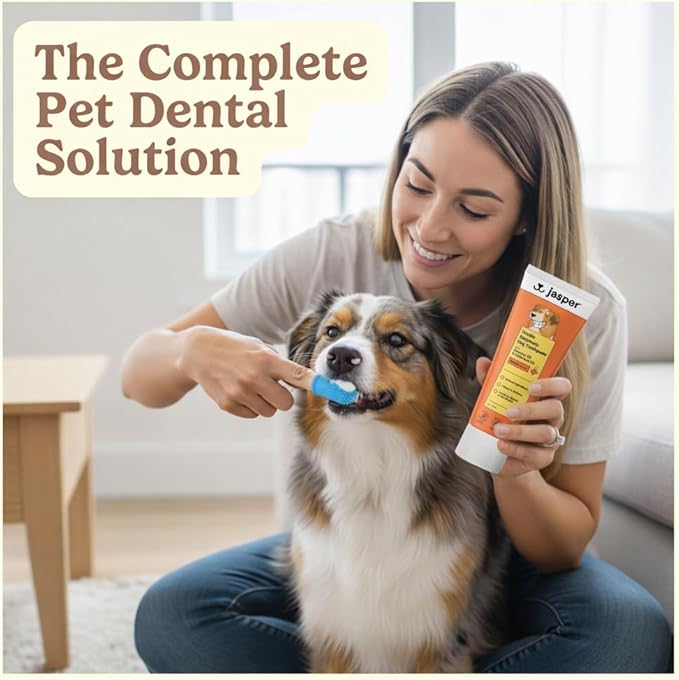 Jasper Dog Tooth Brushing Kit and Dog Toothpaste Kit 360 Dog Toothbrush Enzymatic Plaque Remover Imporves Bad Breath Natural Pet Toothpaste Dog Toothbrush and Toothpaste 2 oz Chicken Flavor