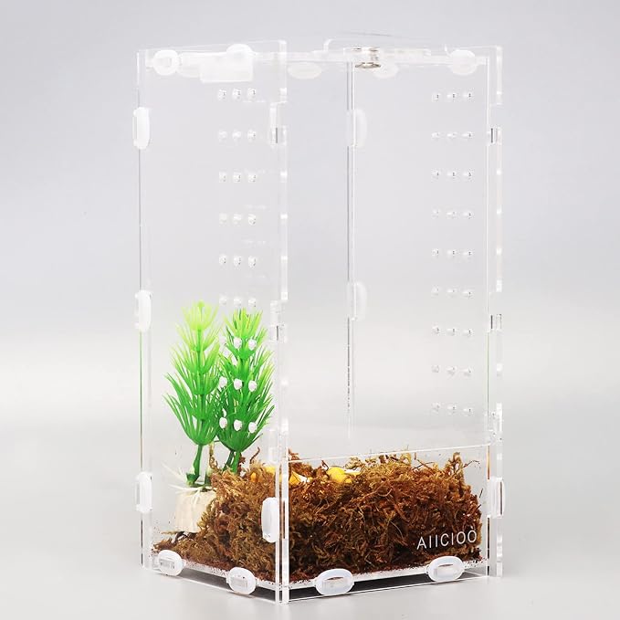 Aiicioo Micro Habitat Terrarium Enclosure 4x4x8 Inches Tarantula Enclosure Box Insect Habitat Clear Acrylic Reptile Feeding Tank for Jumping Spiders Insect Small Tree Dwelling Reptiles