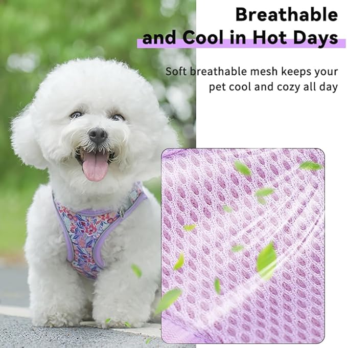 Step in Dog Harness and Leash Set, Flower Adjustable Easy Walk Puppy Harnesses, Soft Mesh Pet Vest Harness Small Size Dog Adjustable No Pull Dog Harness for Small Medium Dogs(Pink, M)
