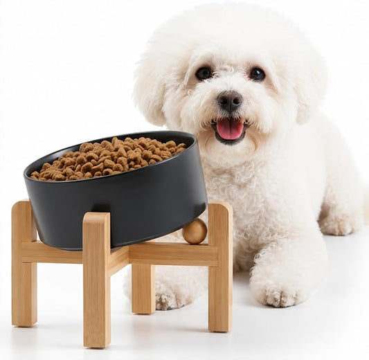 Petygooing Black Raised/Elevated 15°Slanted Ceramic Dog Bowl for Small Breeds,Tilted Anti Slip Pet Feeding Bowl,Food Water Dish with Stand for Cats and Small Dogs Puppy 13.5 OZ (5.1In /1.7 Cups)