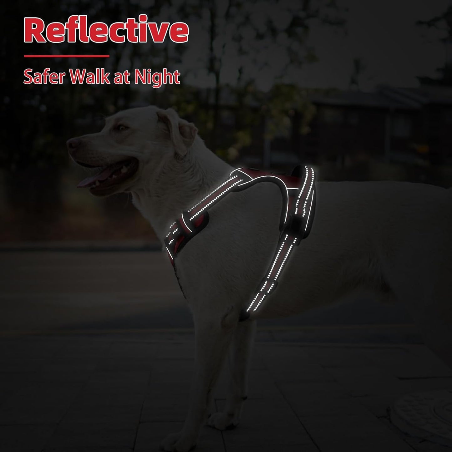 PUPTECK No Pull Dog Harness Small Sized, Adjustable Reflective Dog Harness with Handle Easy Control, Comfortable Soft Padded Pet Vest Harness for Small Dogs, Red S