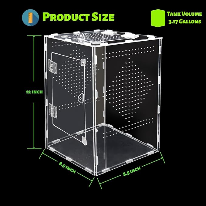 Large Jumping Spider Enclosure, Acrylic Ventilated Terrarium with Magnetic Front and Top Doors, 8.5x8.5x12 Inch, Transparent, Lockable (Large Size)