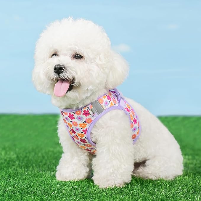 Step in Dog Harness and Leash Set, Flower Adjustable Easy Walk Puppy Harnesses, Soft Mesh No Pull Pet Vest Harness for Small Dogs and Cats(Flower, XS)