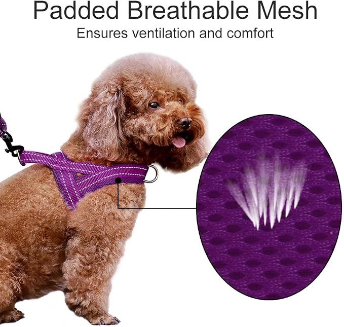 Plutus Pet No Pull Dog Harness for Small Dogs, Breathable Mesh Padded | Adjustable Reflective with Handle, Escape Proof, Quick Fit Pet Vest, Front Clip, for Training and Walking, Purple, S