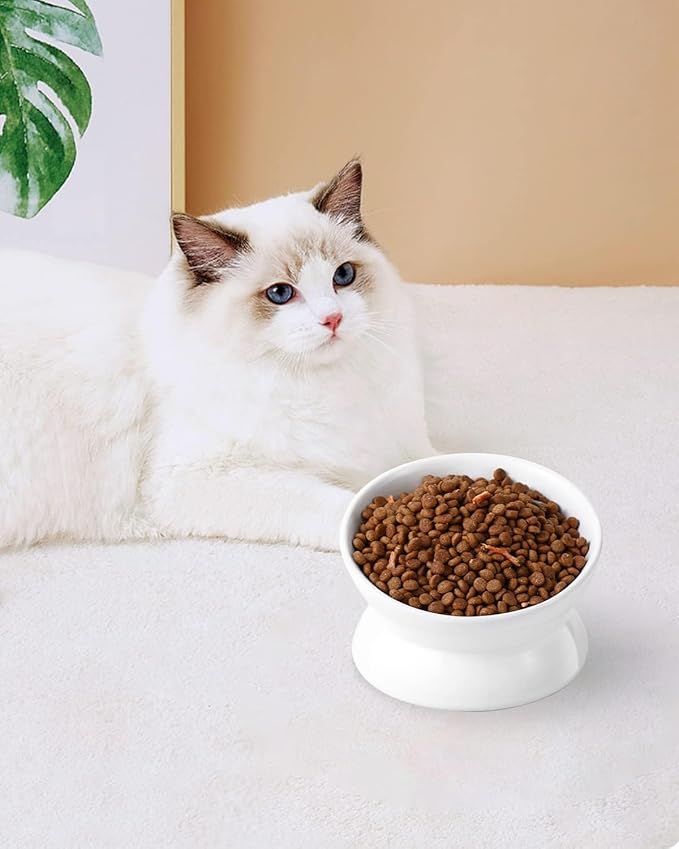 LoeJan Elevated Cat Food Bowl, 5 Oz Ceramic Raised and Tilted Water Bowl, Anti Vomiting and Protect Pets' Spines Dishes for Small Dog, Fat Faced Cat, Kitten (White, 10 OZ)