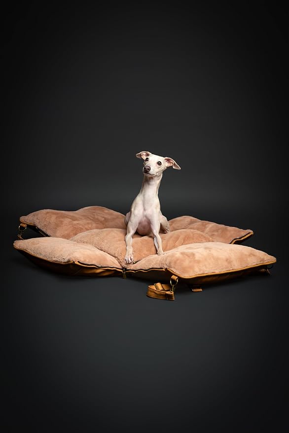 NOAH & PAW Small Dog Car Seat for Small Medium Pets with Harness Clip, 4X Safety Feature, Washable Dog Seat for Car, Orthopedic Foam Wrapped with Plush, Vegan Leather