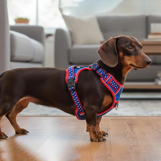 Medium Dog Harness, No Pull Pet Vest with Neck Buckle for Easy On Off, Breathable Walking Harness for French Bulldog, Corgi, Beagle, Padded with Sturdy Handle, 2 Tactical Leash Clips (M Size)