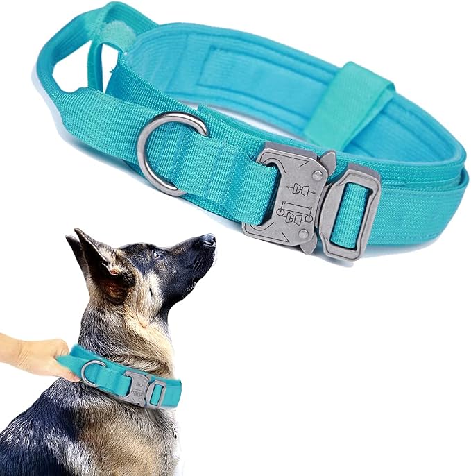 Tactical Dog Collar for Large Dogs with Control Handle,Blue,M | 1000D Heavy-Duty Nylon Fabric,Quick-Release Metal Buckle,Adjustable Fit,Soft-Padded Webbing,D-Ring,for Training & Hiking